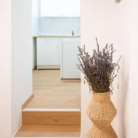 Lev Apartments Izola Room photo